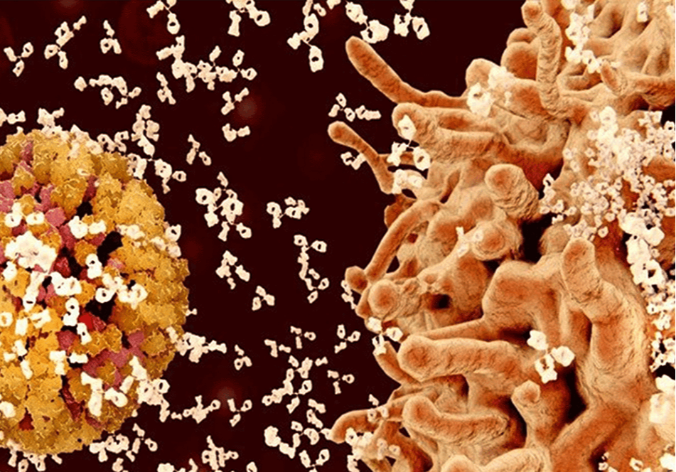 Αυτοάνοσα Νοσήματα