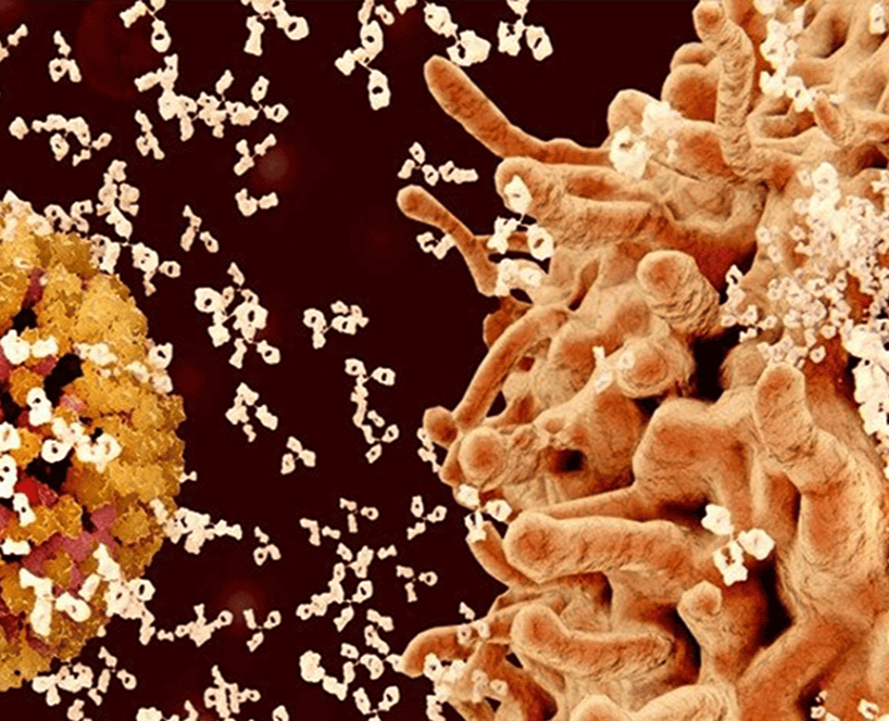 Νόσος ουρικού οξέος